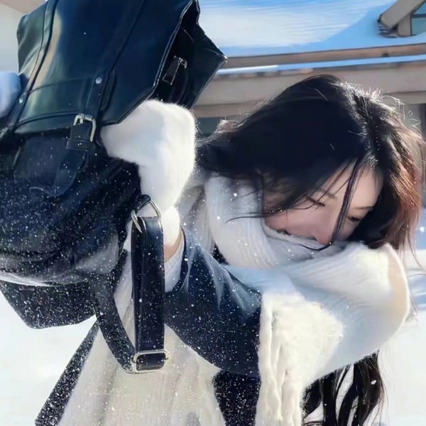 大坏狼